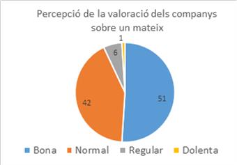 Valoració dels companys