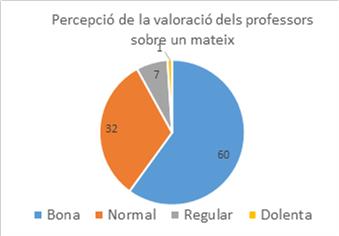 Valoració dels professors